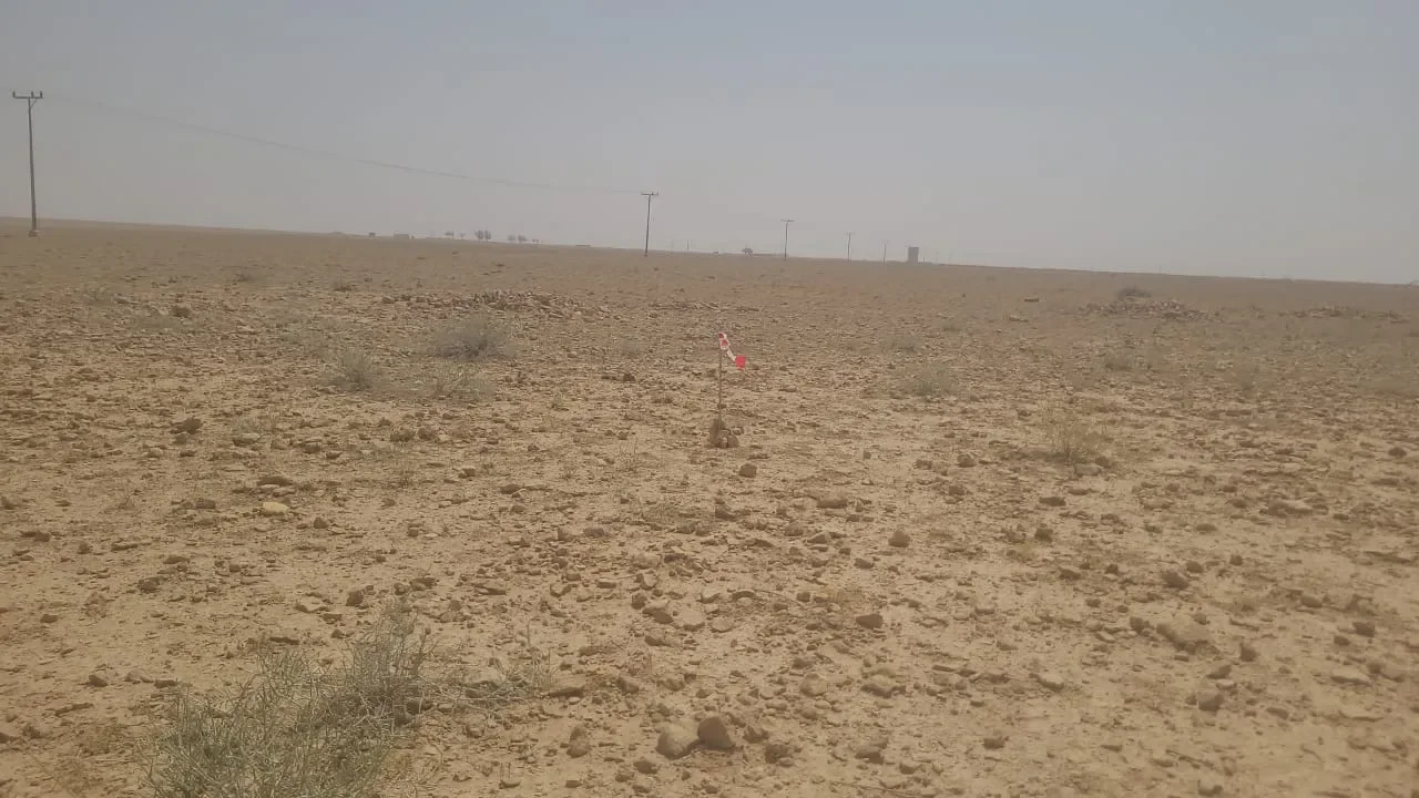 ارض زراعية بالقوارة - صورة 2