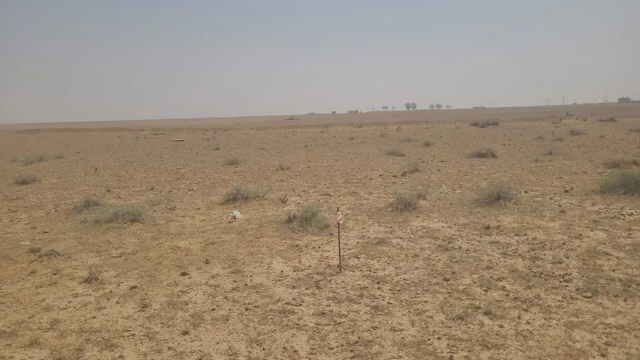 ارض زراعية بالقوارة - صورة 7