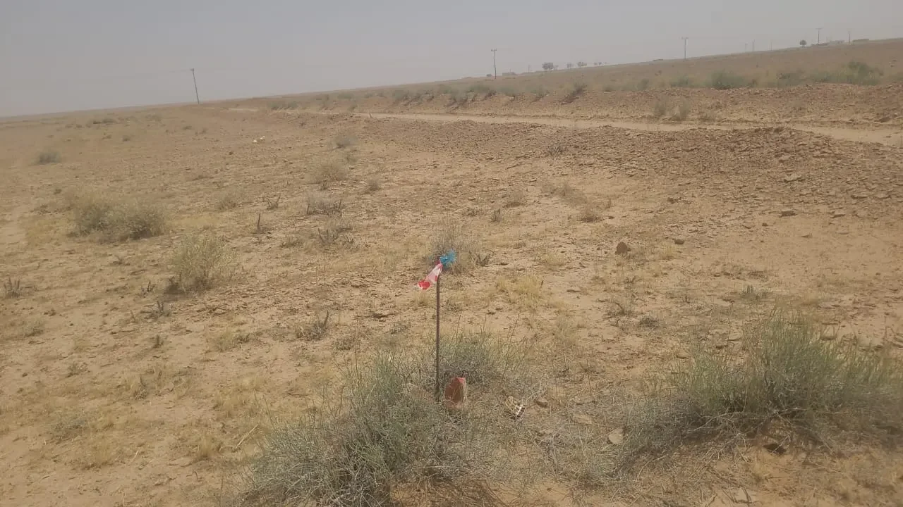 ارض زراعية بالقوارة - صورة 8